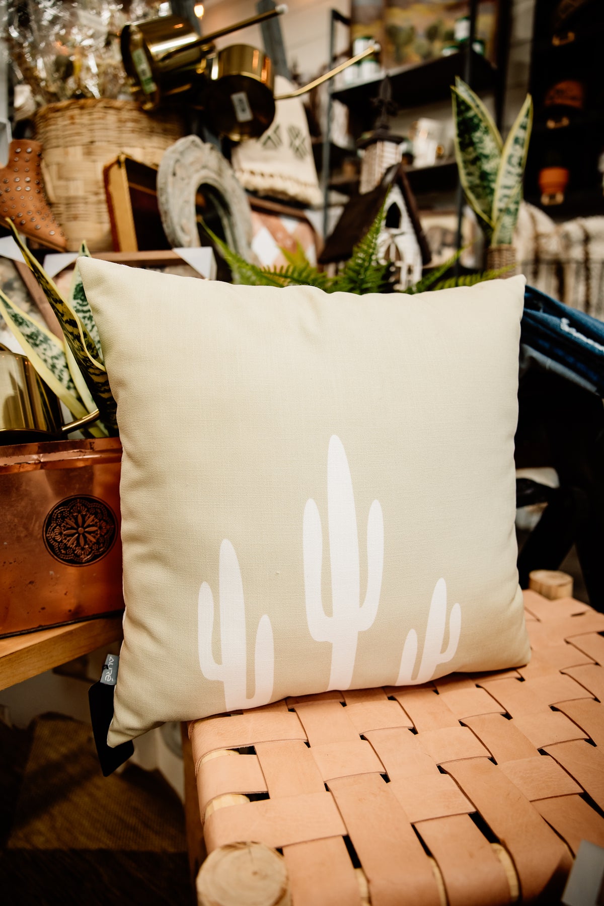 saguaro sage pillow