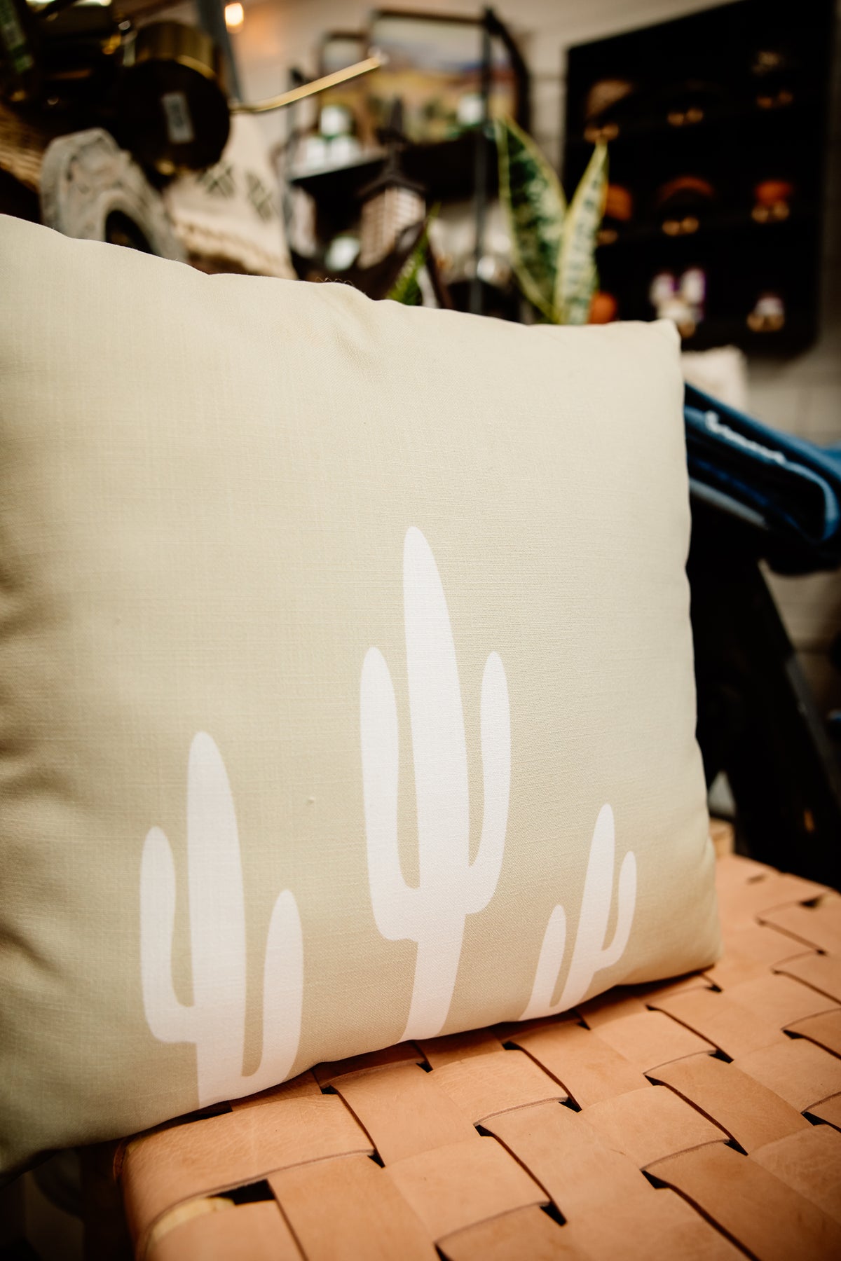 saguaro sage pillow